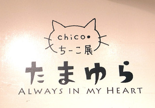 chico01.jpg