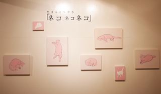 neko01.jpg