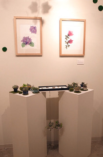 niwa13.jpg