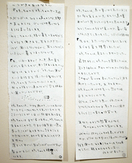 vgf327.jpg